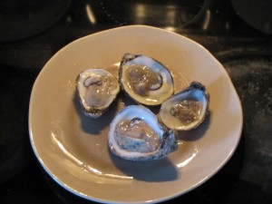 Chincoteague Salts Oysters