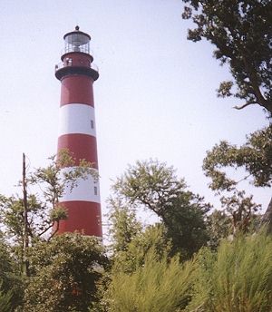 The Assateague lighthouse