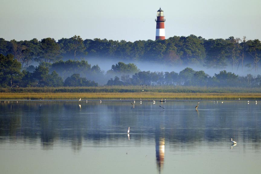 Discover Assateague Lighthouse