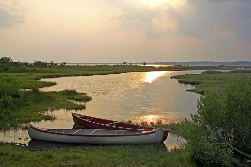 Spring Vacation On Chincoteague Island