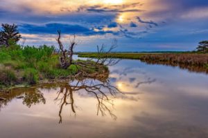 assateague island national seashore reviews assateague island national seashore reviews