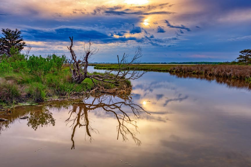 Crabbing - Assateague Island National Seashore (U.S. National Park Service)