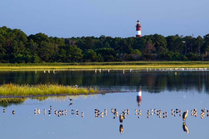 A Safe and Socially Distanced Chincoteague Island Getaway